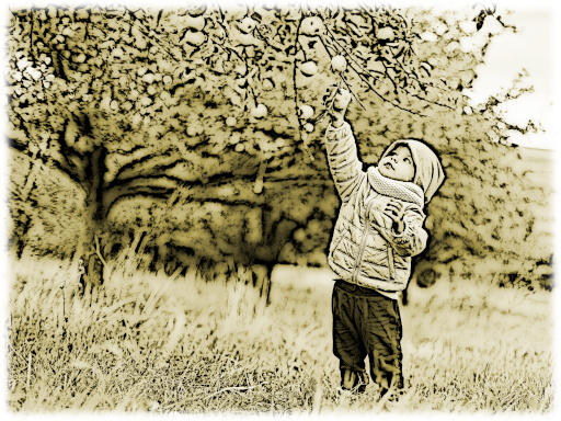 Mädchen pflückt Äpfel